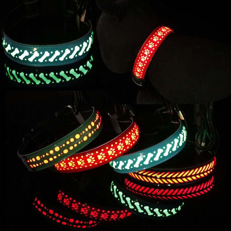 LED Engraved Leather Dog Collar – Stylish & Safe at Night