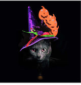 Halloween pumpkin hat on a cat, featuring a purple witch hat with orange pumpkins for festive pet fun.