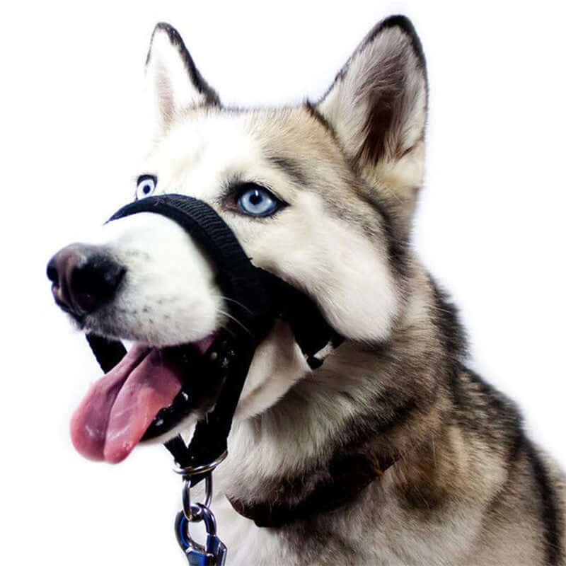 Adjustable Dog Muzzle – Safe, Comfortable & Anti-Bite Protection