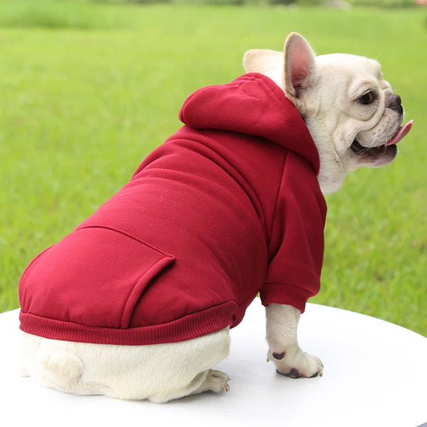 Warm Dog Hoodie – Cozy, Stylish & Perfect for Winter