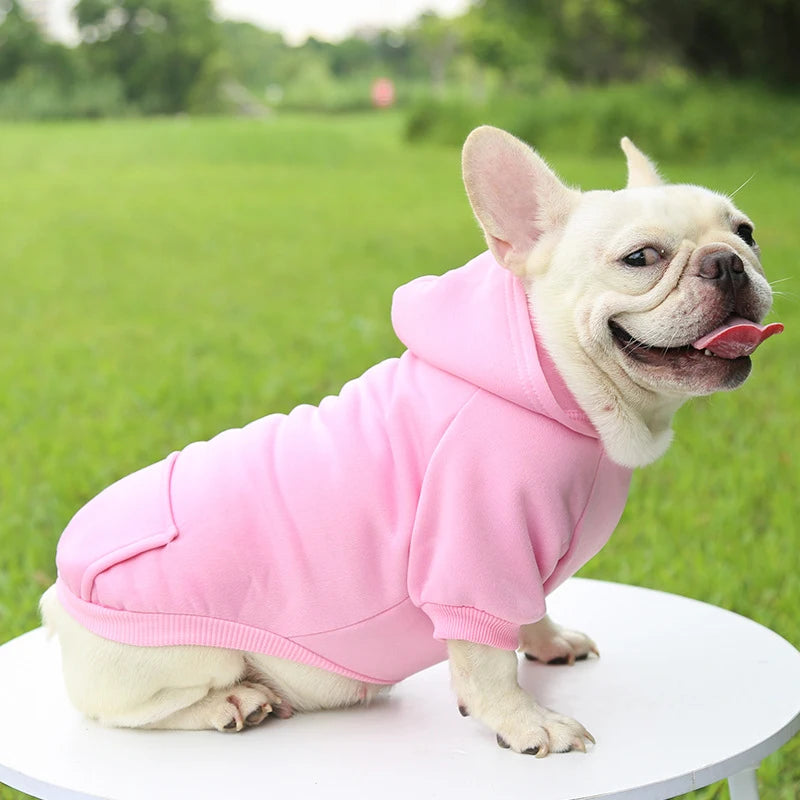 Warm Dog Hoodie – Cozy, Stylish & Perfect for Winter