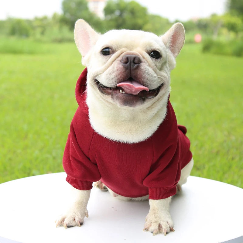 Warm Dog Hoodie – Cozy, Stylish & Perfect for Winter