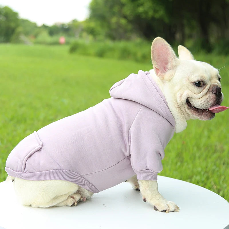 Warm Dog Hoodie – Cozy, Stylish & Perfect for Winter