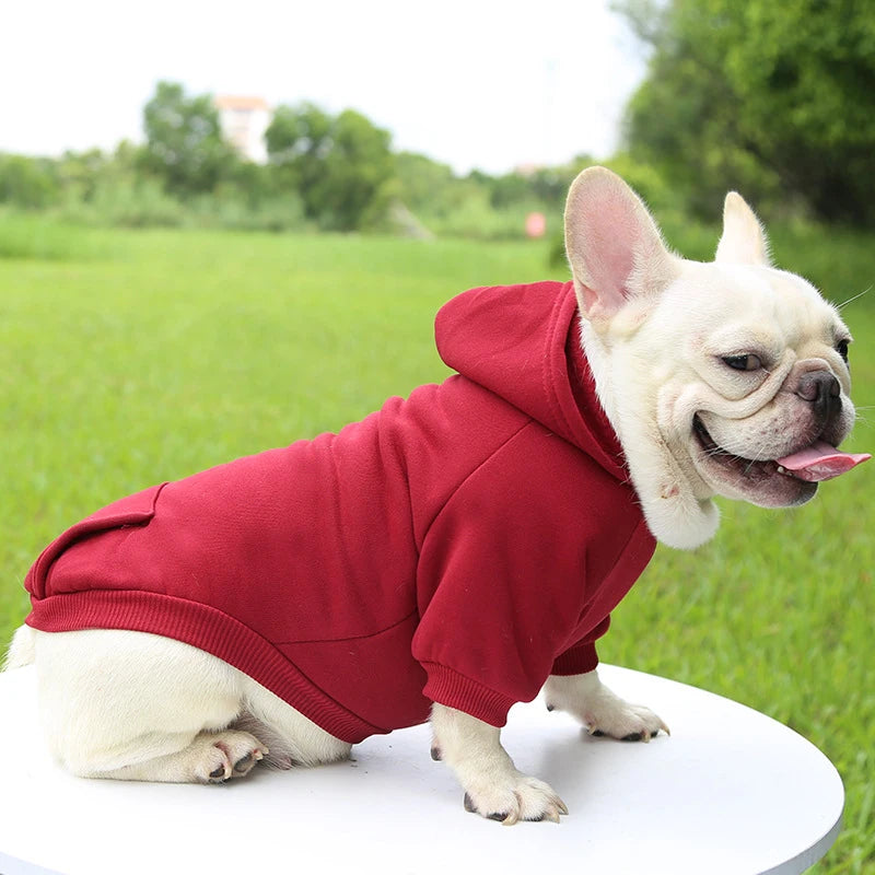 Warm Dog Hoodie – Cozy, Stylish & Perfect for Winter