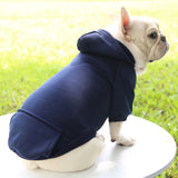 Warm Dog Hoodie – Cozy, Stylish & Perfect for Winter