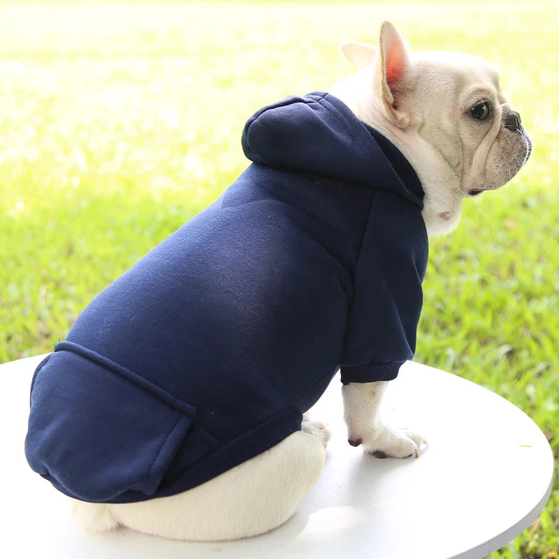 Warm Dog Hoodie – Cozy, Stylish & Perfect for Winter