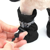 Water-Resistant Dog Shoes – Protect Paws, Stay Dry!