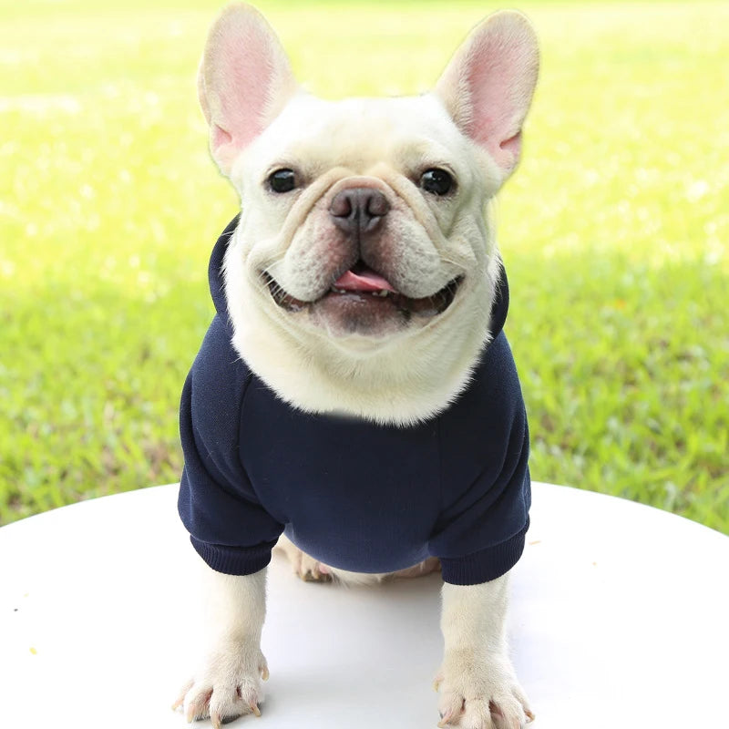 Warm Dog Hoodie – Cozy, Stylish & Perfect for Winter