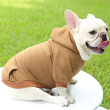 Warm Dog Hoodie – Cozy, Stylish & Perfect for Winter