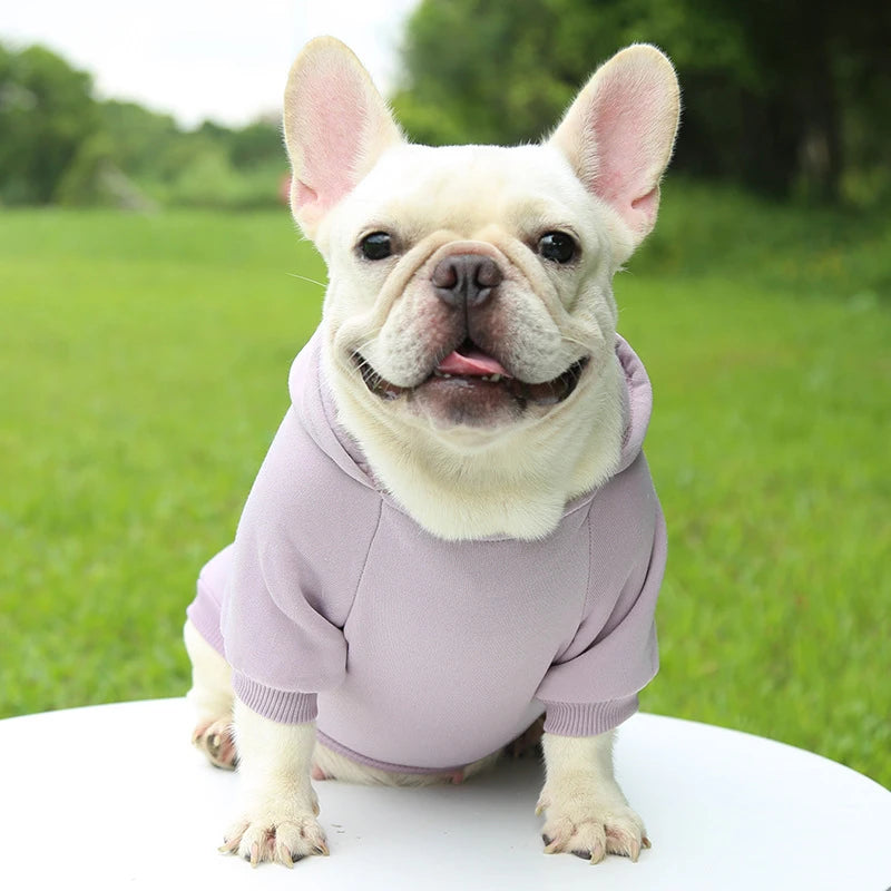 Warm Dog Hoodie – Cozy, Stylish & Perfect for Winter