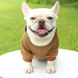 Warm Dog Hoodie – Cozy, Stylish & Perfect for Winter