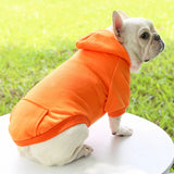 Warm Dog Hoodie – Cozy, Stylish & Perfect for Winter