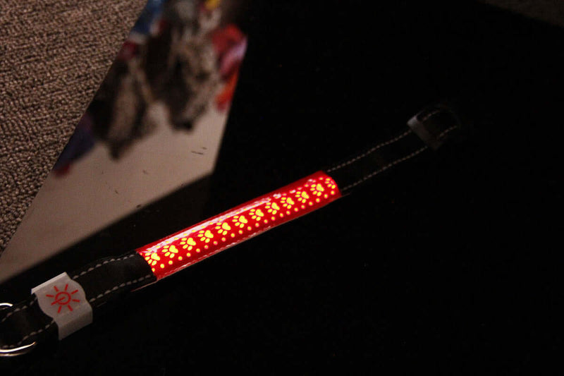 LED Engraved Leather Dog Collar – Stylish & Safe at Night