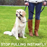 Adjustable Dog Muzzle – Safe, Comfortable & Anti-Bite Protection